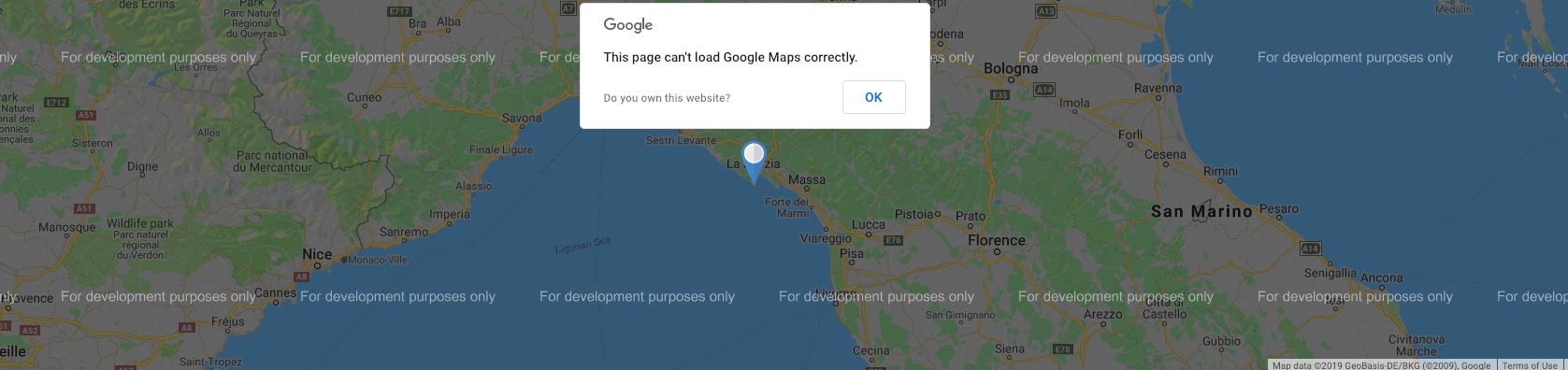 Google Maps API Key problem