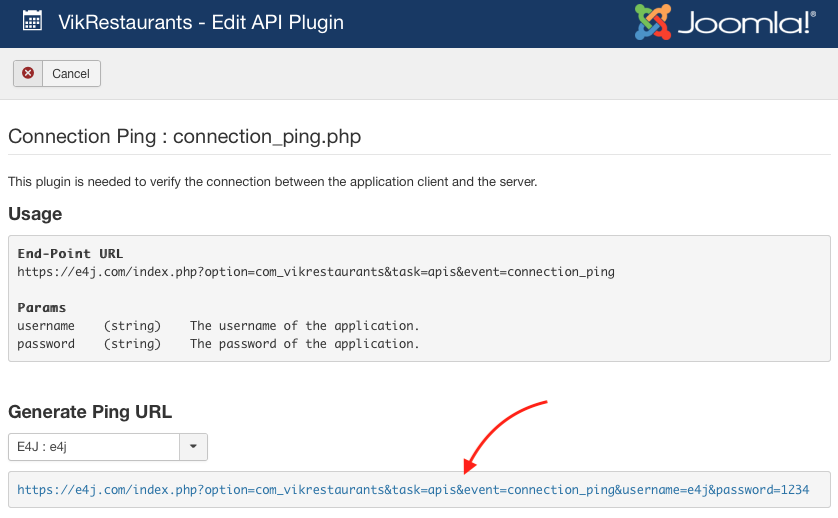 Setup - API Connection Ping
